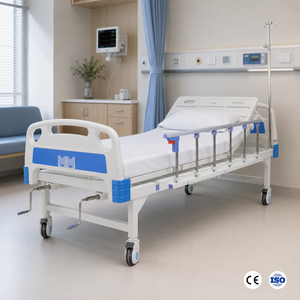 OEM Custom 2-Function Manual Medical Hospital Bed With Adjustable Anti-Collision ABS Headboard for Clinic Patient Care